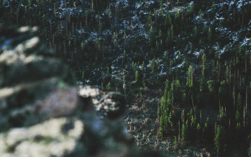 场景构图与透视技巧